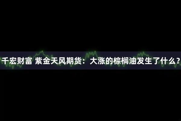 千宏财富 紫金天风期货：大涨的棕榈油发生了什么？