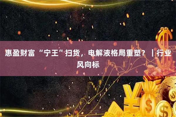 惠盈财富 “宁王”扫货,电解液格局重塑?|行业风向标