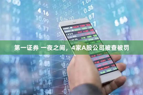 第一证券 一夜之间，4家A股公司被查被罚